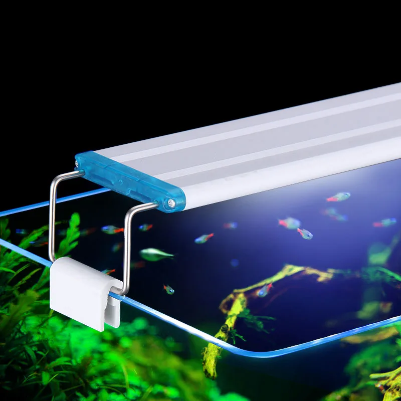The used aquarium light.